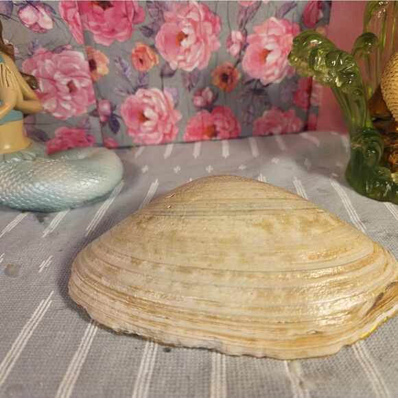 DECOUPAGE CLAM SHELL DECOUPAGE TRINKET DISH CHRISTMAS TREES - Picture 10 of 12